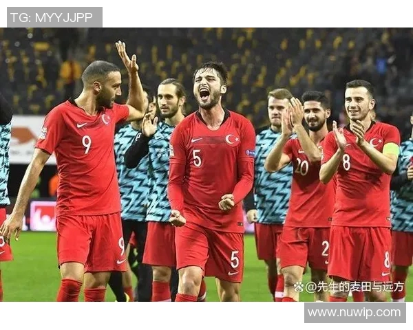 08年欧洲杯经典对决荷兰队与俄罗斯队的激烈较量回顾